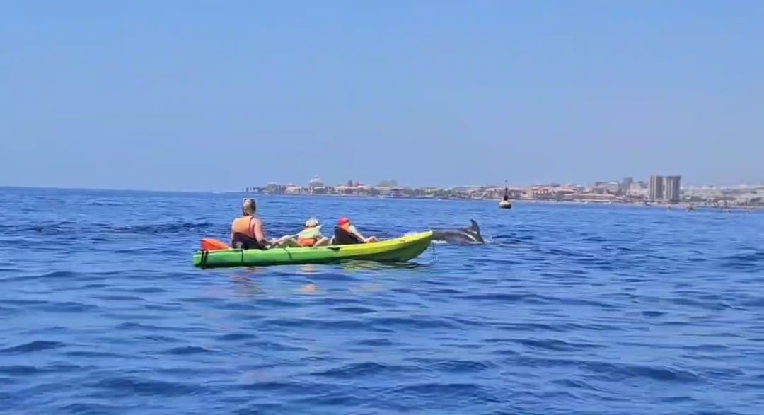 Paisaje natural desde el kayak.