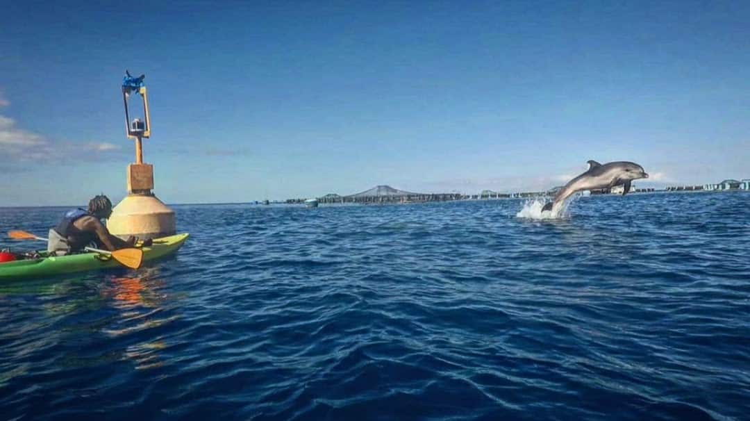 Bahía de delfines-Paisaje natural desde el kayak en el Palm Mar- sur de Tenerife